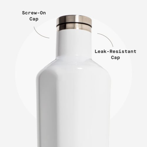 Corkcicle Vinnebago Insulated Stainless Steel Bottle/Thermos, 25 Oz, White, 2025GW