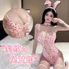 Sexy Underwear Women's Open File Free Onesie Pure Desire To Seduce Cute Three-point Bunny Girl Teasing Hair