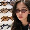 Leopard Oval Frame Sun Glasses Women Retro Blue Light Blocking Plain Eyeglass Vintage Brand Goggles Computer Reading Eyewears