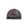 Mammut Logo Beanie 1191-04891 Steel-Black