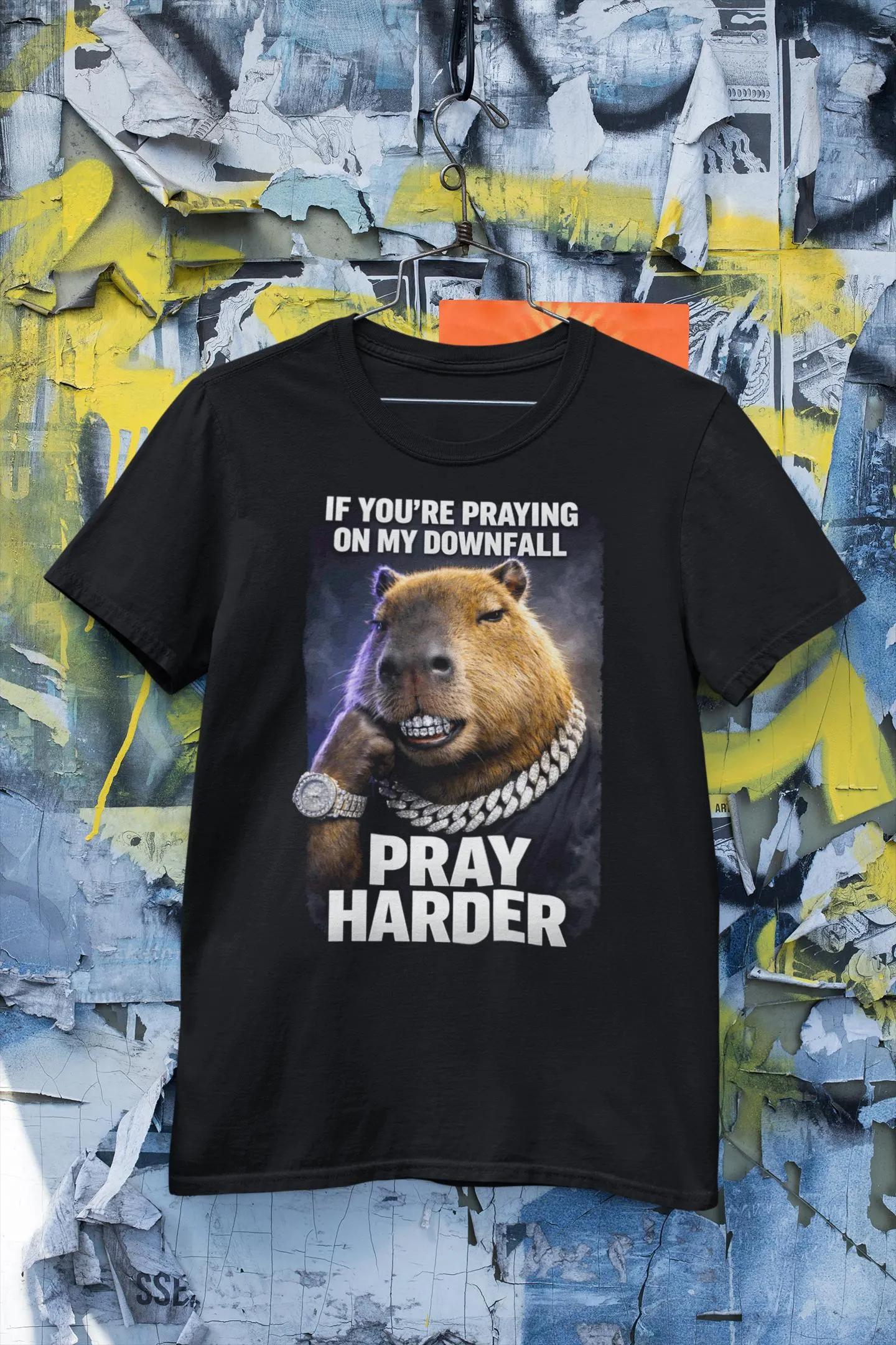 

If Youre Praying on My Downfall Pray Harder Printed Tshirt Women Unisex Trendy Top SpringSummer Loose Short Sleeve Unisex Tshirt S