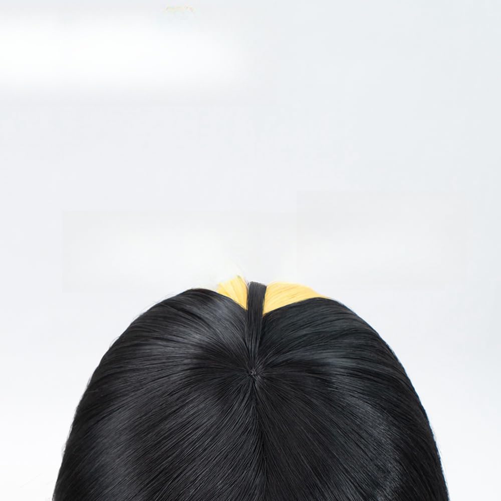 Cosplay Wig, Costume, Black Wig, Disguise, Costume, Halloween, Event, Cosplay, Photo Shoot