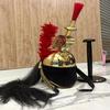 Handcrafted Brass Napoleon Helmet French Empire Cavalry Casque with Plume & Stand