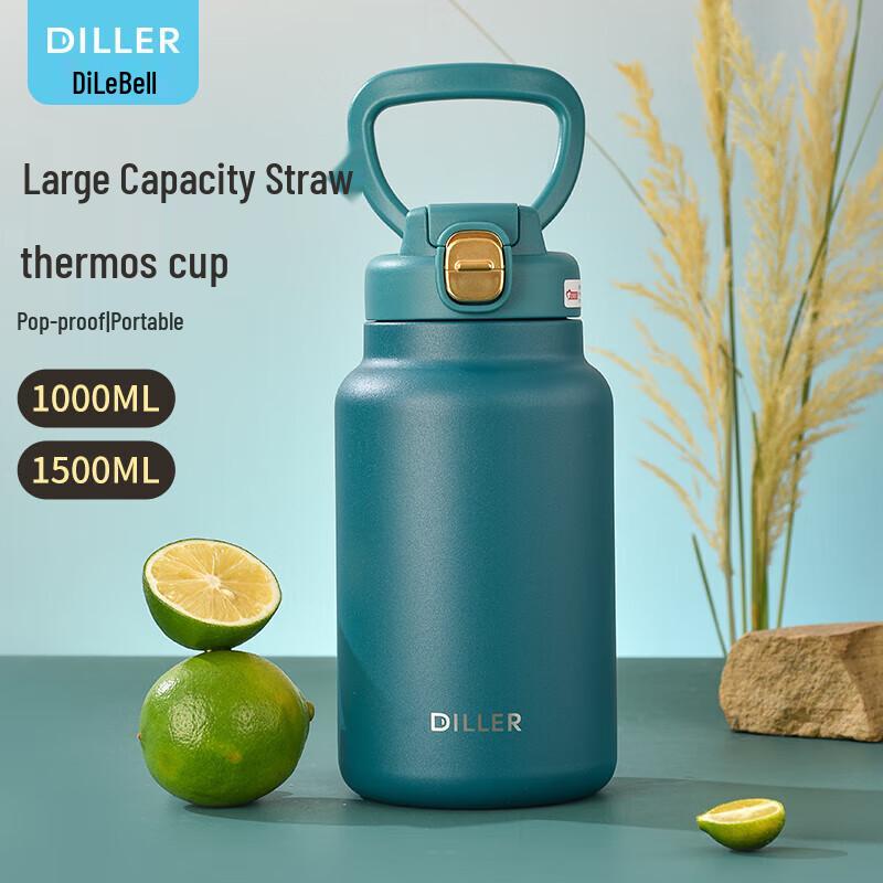 Dilebaier Insulated Straw Water Bottle