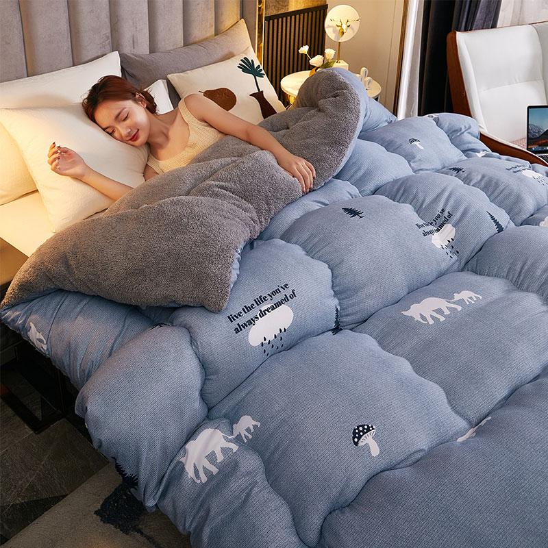 Winter 5Kg Lamb Velvet Quilt Dormitory Single Double Home Hotel Quilt Core 1.5M Thickened 1.8M Luxury Comforter Super Warm Quilt