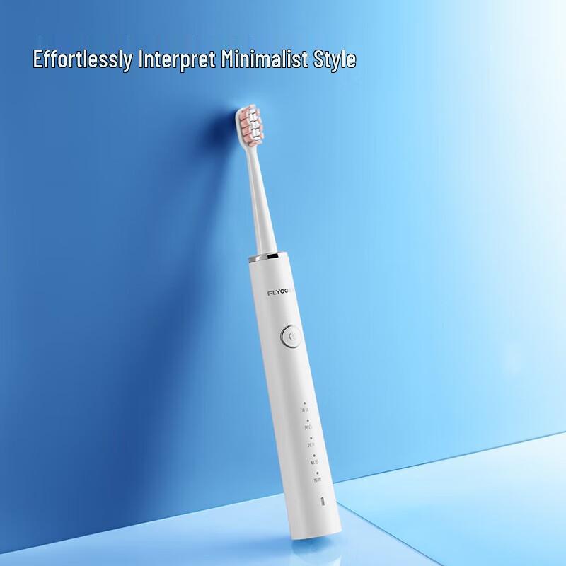 FLYCO Rechargeable Sonic Electric Toothbrush CN Plug (adapter Included)