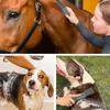 6 In 1 Grooming Brush, Massage Comb for Horses, Grooming Brushes, Massage and Care for Removing Dry