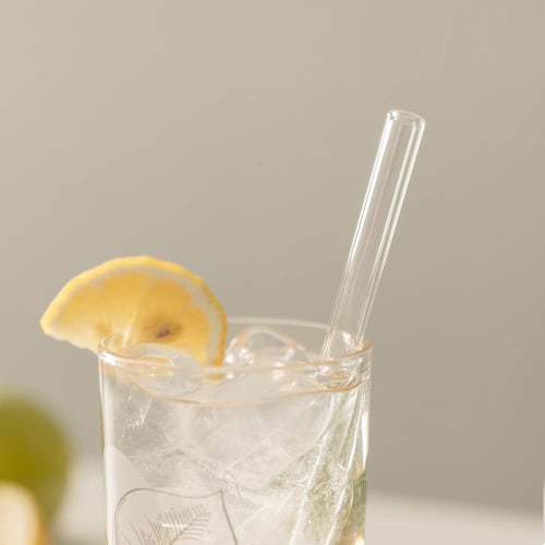 Peach&life Eco-Friendly, Beautiful Straws, Sustainable, Reusable, BPA-Free, Plastic-Free, Stylish Straw (Clear Glass)