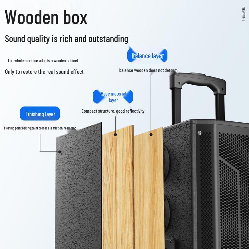 Newsmy N527 15-inch Portable Trolley Bluetooth Speaker CN plug (adapter included)