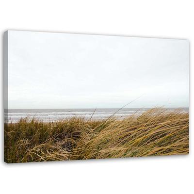 Canvas Print Beach Grass Nature Dune