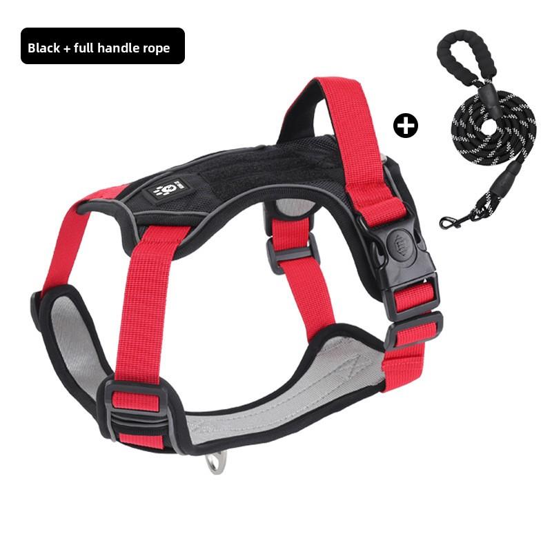 The Dog Leash Is A Medium To Large-sized Golden Retriever with A Vest, A Chest Strap, A Neck Loop and A Chain. The Dog Leash Is Adjustable