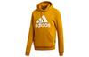 Sweatshirts Men's Gold Hooded Moderate Regular FR6609