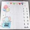 Baby Monthly Milestone Photo Props Background Blanket Unisex Photo Accessories