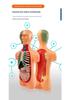 Children's STEM Educational Human Skeleton & Organs Model Teaching Aid