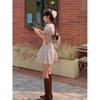 Fancy Whistle V-neck Puff Sleeve Fairy Dress