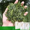 2023 New Tea White Tea Green Tea Mao Feng Type White Leaf Tea Tin 500g/1,1lb