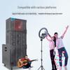 SAST SD-23 Professional KTV & Line Array Speaker System