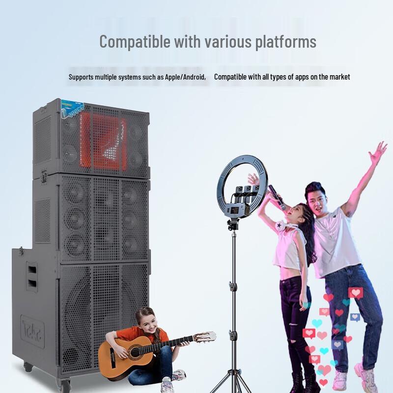 SAST SD-23 Professional KTV & Line Array Speaker System