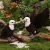 Nature Inspired Home Decor Realistic Plush Bald Eagle Doll Stuffed Animal Toy with Foldable Soft Polyester Wildlife Doll Wings Lifelike Bird Plushie