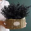 3PC Black Home Decorations Fake Plants Halloween Decor Artificial Leaves Atmosphere Multiple Options Available