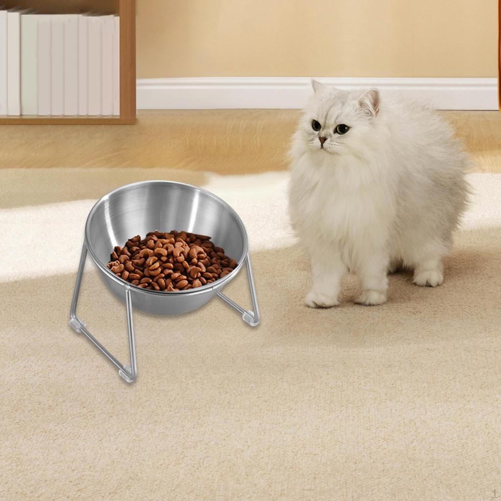 Cat Bowl Container Elevated Pet Feeder Water Dish for Travel Living Room Indoor