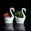 Swan Ceramic Flower Pot Flower Container Vase Pot Ornament Succulent Planter Pot For Table Centerpiece Decors Office Home Bonsai