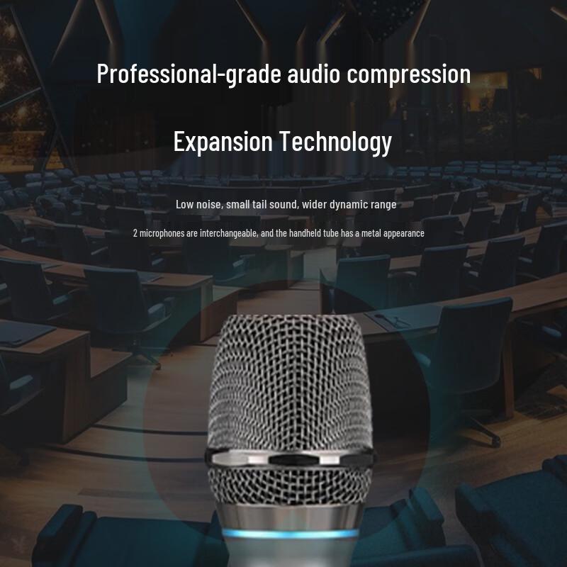 Runpu RP-UF20S Professional Wireless Microphone System (CN version)