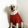 Roupas Respiráveis para Primavera/Verão para Cães de Porte Médio a Grande: Golden Retriever, Labrador, Pastor Alemão, Border Collie.