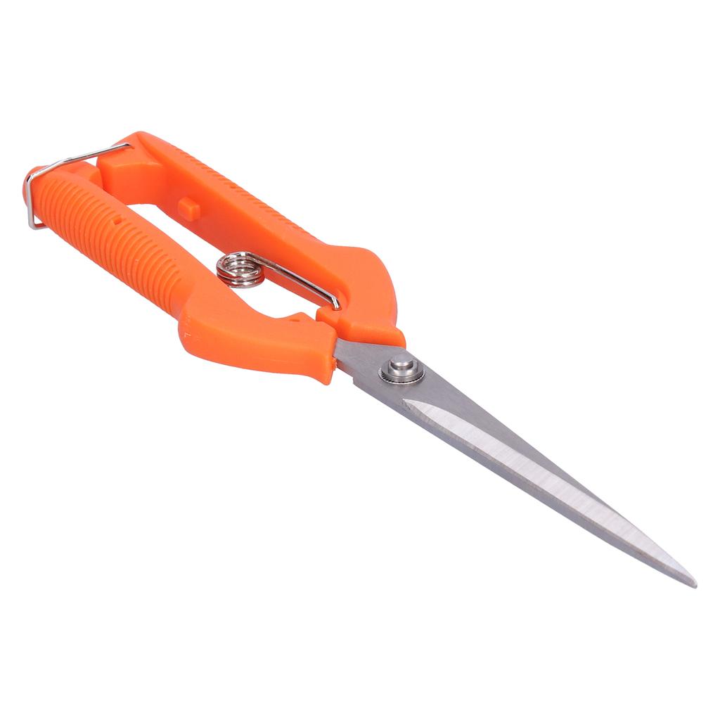 Gartenschere Langstiel Obstpflückschere zum Blumenarrangieren Pflanzen beschneiden