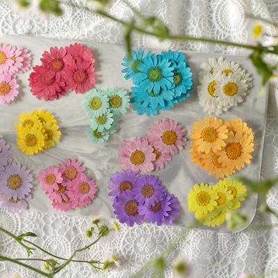 12 PCS/Set Pressed Dried Flowers for Scrapbooks Making Natural Flower For Epoxy Resin Pendant Necklace Jewelry Making Craft