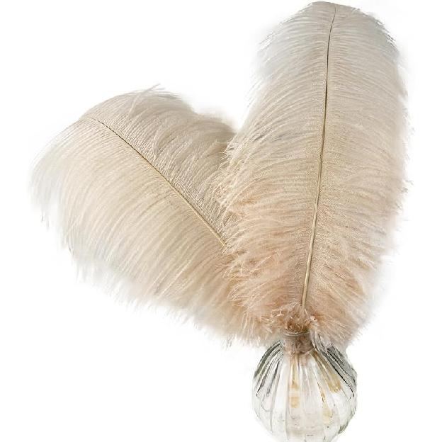 Happy Feather 16-18 дюймов Белые Страусиные Перья для Поделок, Свадебных Композиций, Домашнего Декора, DIY Набор из 10 шт. 10pcs