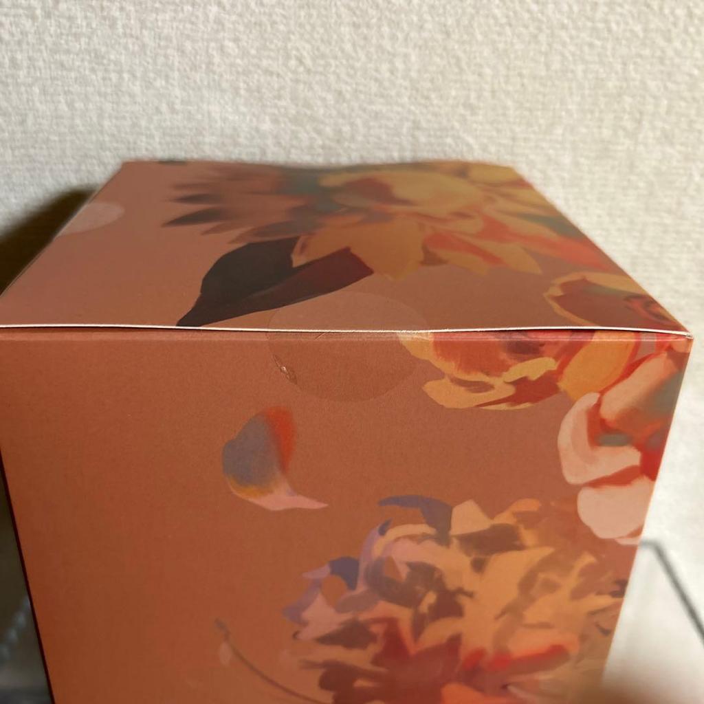 [USED] Toraware No Palm Refrain Soft Vinyl Figure Chiaki