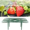 Strawberry Growing Rack Detachable PP Waterproof Reusable Strawberry Plant Support For Soil Planting Indoor Pots