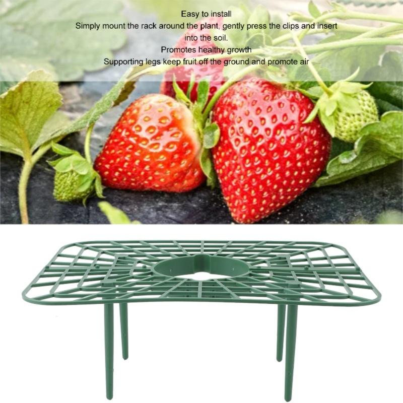 Strawberry Growing Rack Detachable PP Waterproof Reusable Strawberry Plant Support For Soil Planting Indoor Pots
