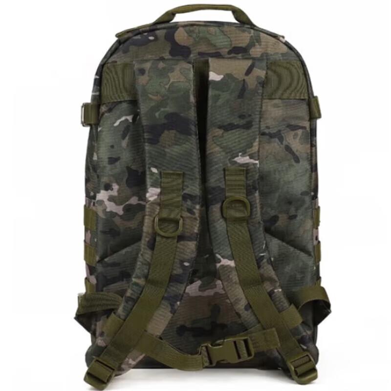 Qinghongling Tactical Hiking Backpack