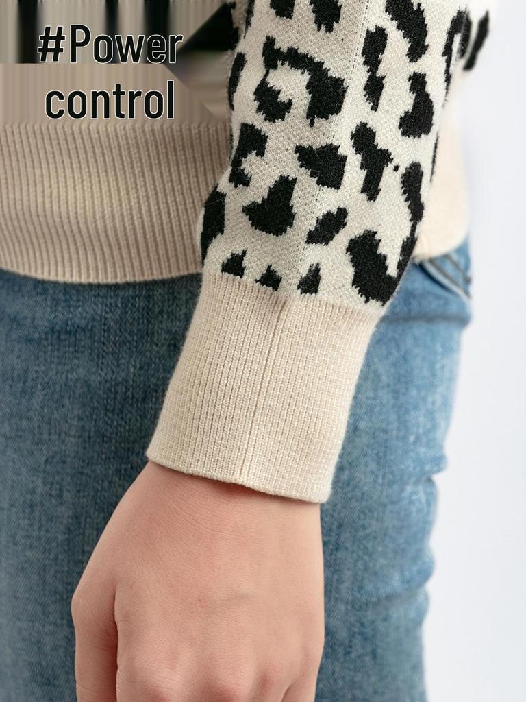 Leopard Print Women's Color Block Knit Sweater - Autumn/Winter Loose Pullover