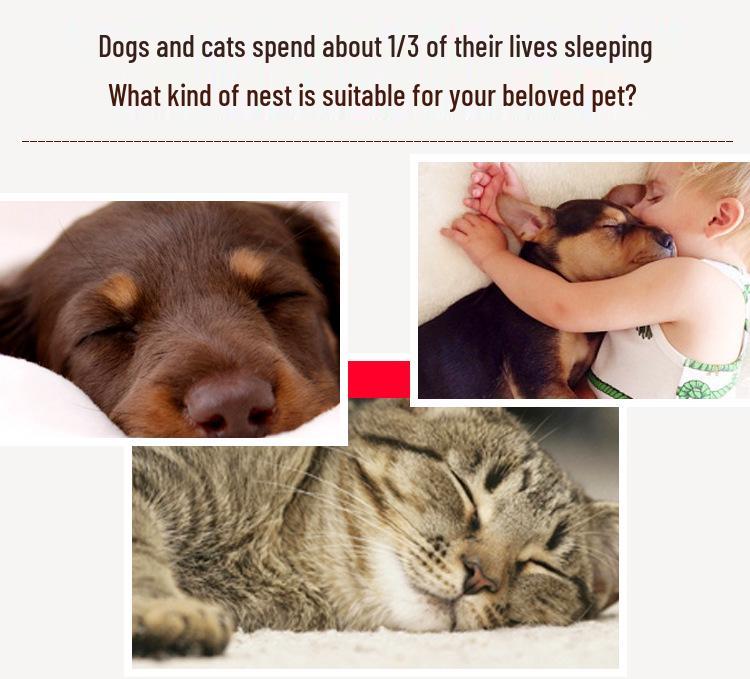 Washable Dog Bed & Cushion: Four Seasons Universal Pet Mat for Dogs & Cats