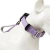 Automatic Extendable Pet Collar  For Owners  Dog Collar Telescopic  Pet  Walking Rope