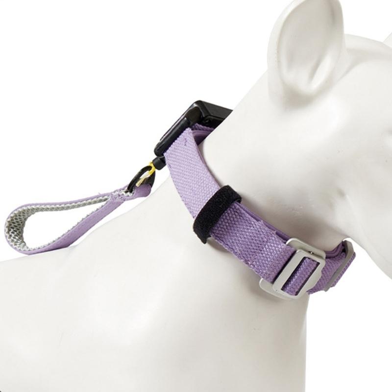 Automatic Extendable Pet Collar For Owners Dog Collar Telescopic Pet Walking Rope