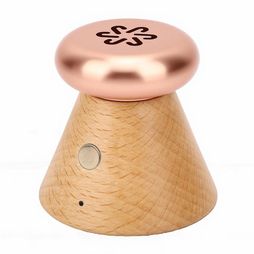 Electric Scent Diffuser Temperature Control Rechargeable Lightweight Essential Oil Diffuser