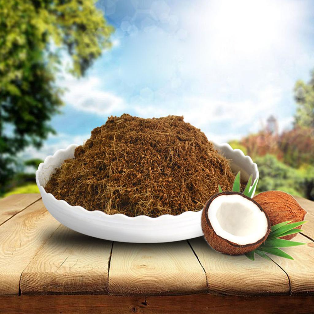 10pcs Coir Soil Disk Promoting Root Growth Fiber Coir Soil Disk 30 X 10mm