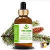 Pure Herbs Black Spruce (Picea Mariana) Pure & Natural Therapeutic Grade Essential Oil Glass