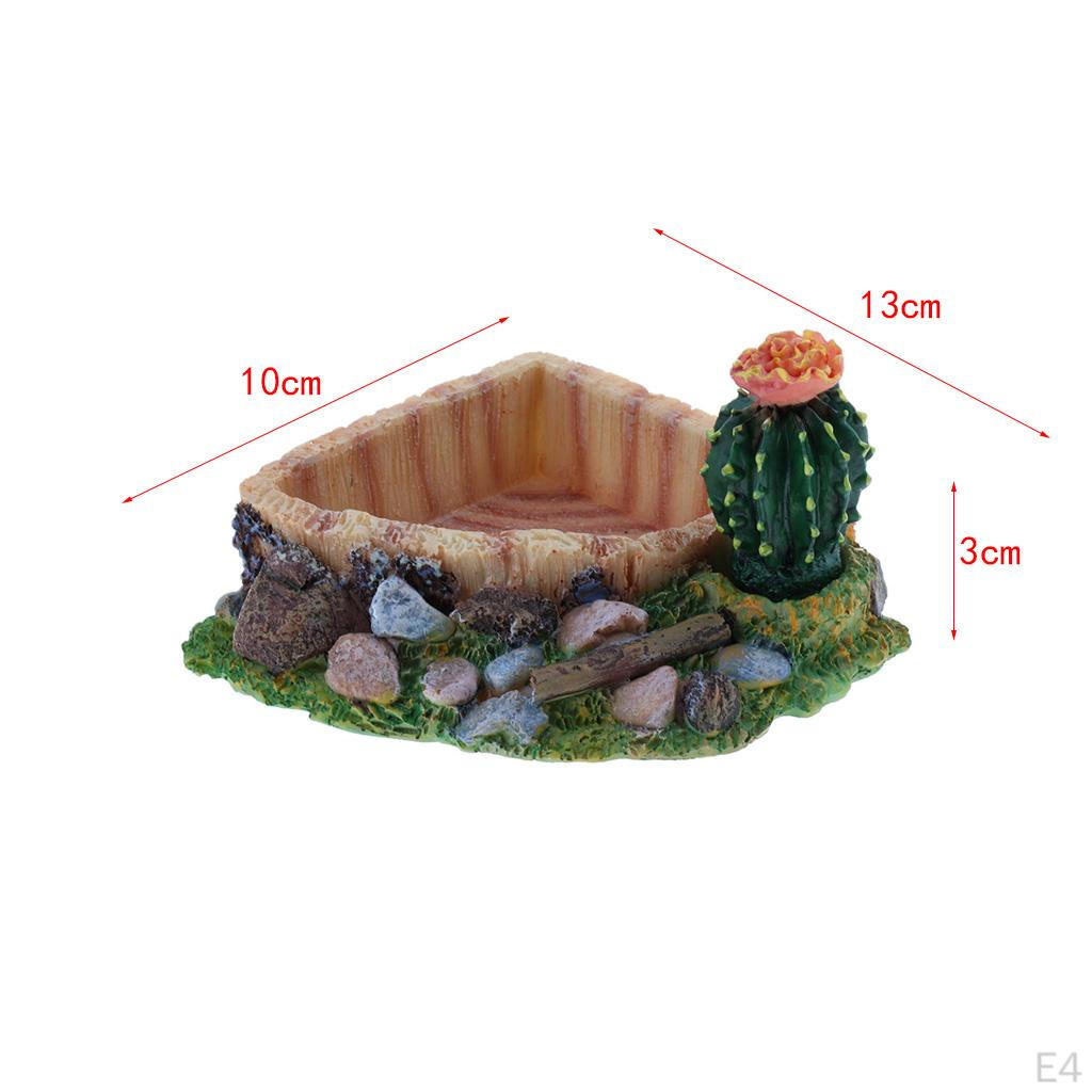 Food Dish Water Bowl Feeder Basin for Amphibians