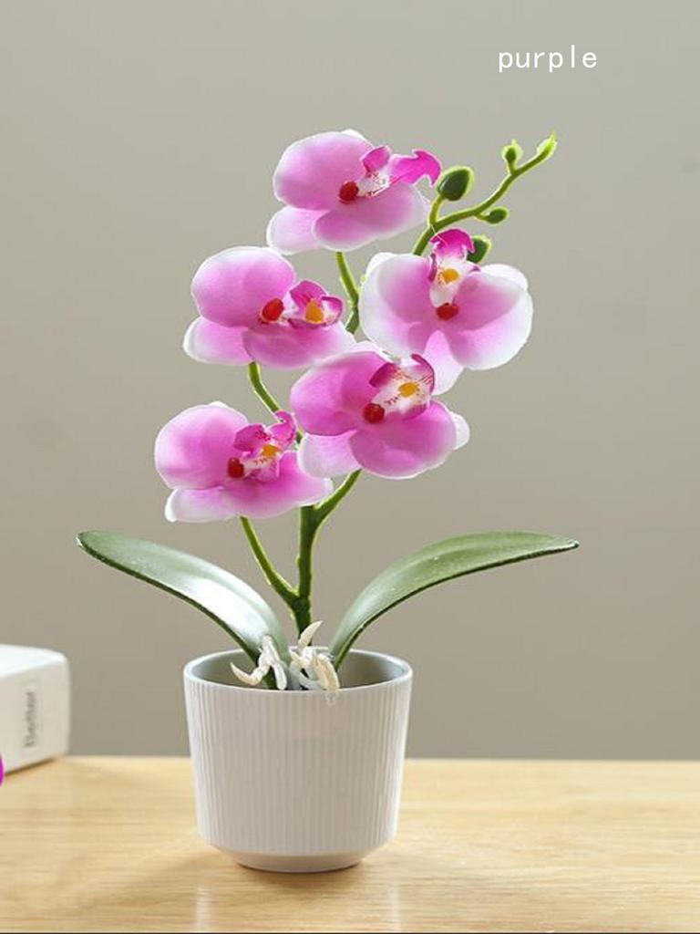 Creativ Opt Capete Film Phalaenopsis Bonsai Floare Simulare Floare Falsă Simulare Ghiveci Artificial Decor Acasă Birou