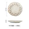 Japanese coarse Tao Pan, color plate, household tableware, high-grade pasta plate, ceramic tableware.