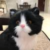 Simulated Kitten Squatting Cat Fur Craft, Zodiac Animal Figurine Toy for Dogs, Cats, and Rabbits.