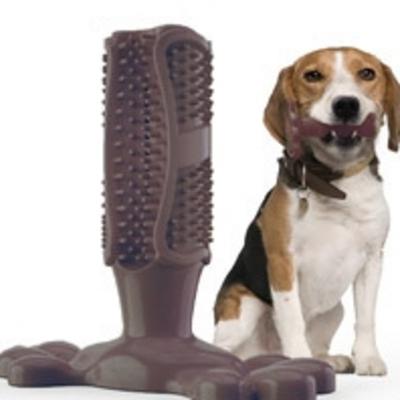 Köpek – Köpek oyuncakları
