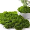 Artificial Green Moss for Micro Landscapes & Potted Plants