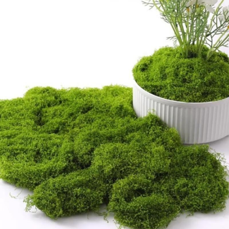 Artificial Green Moss for Micro Landscapes & Potted Plants