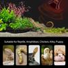 BNOSDM Reptile 75W Ceramic Heat Emitter,4 Pack Reptile Heat Lamp Bulbs,Non Light Emitting,Brooder Coop Heater Lamp Bulb for Amphibian Reptile Lizard